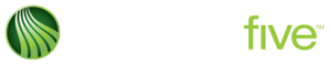 websterfive Logo Image
